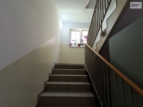 foto02_11370979_5mwpg.jpg