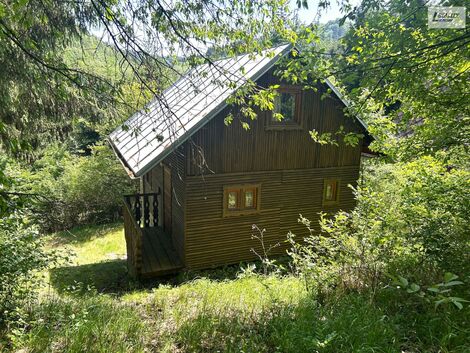 foto02_11504712_11zbzw.jpg
