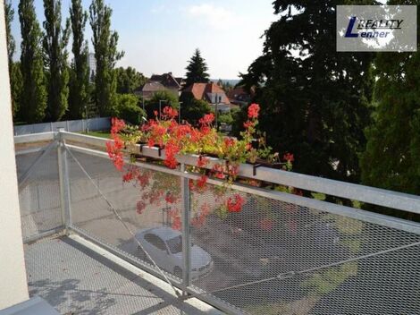 foto02_11547781_3quv0.jpg