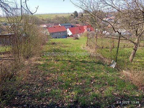 foto02_11384350_14fn0c.jpg