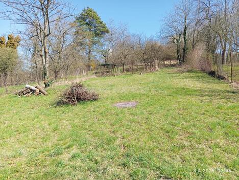 foto02_11384350_1hase0.jpg