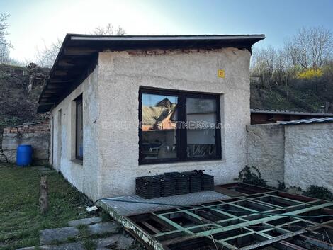 foto02_11384350_uvpdg.jpg