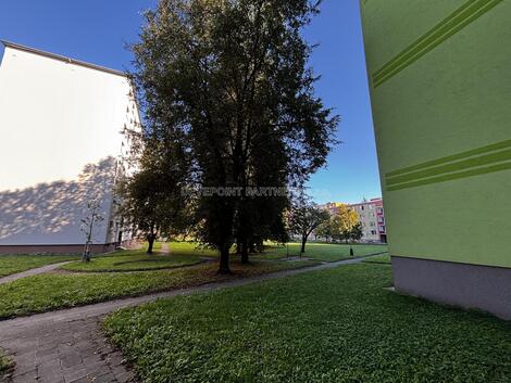 foto02_11560194_ldfjc.jpg