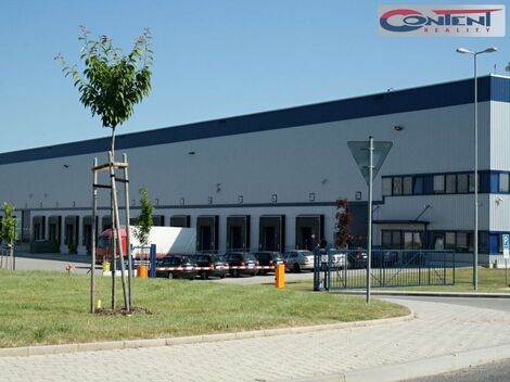 foto02_11332535_1e3vyw.jpg