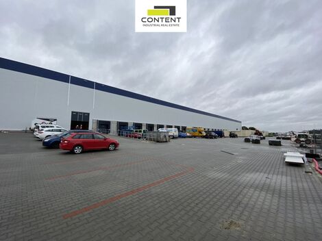 foto02_11384977_tfgfk.jpg