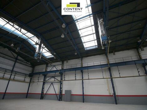 foto02_11450834_u736o.jpg