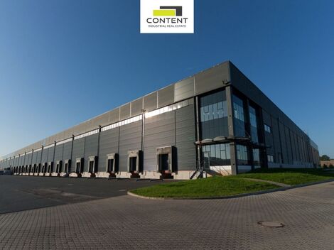 foto02_11478583_15d33k.jpg