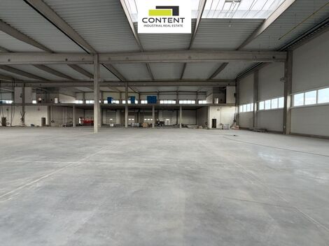 foto02_11482767_g2jus.jpg