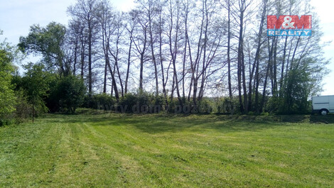 843/foto12_11320475_1g79xo.jpg
