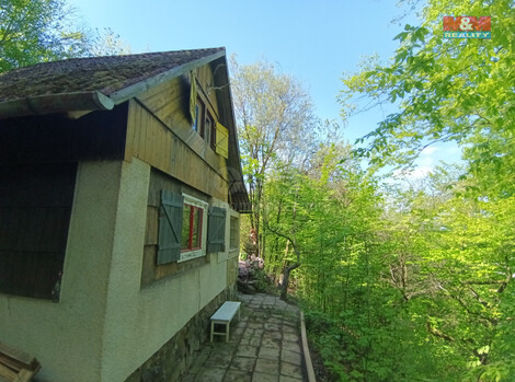 863/foto12_11304847_9p1z0.jpg