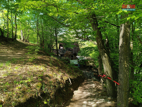 863/foto12_11304847_f643w.jpg