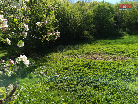 864/foto12_11332087_1n57gs.jpg