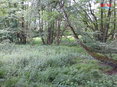 876/foto12_11046653_1dephk.jpg