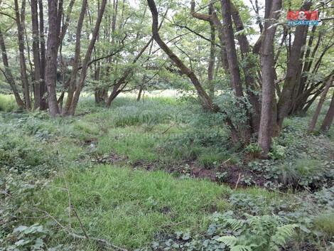 876/foto12_11046653_5o5b0.jpg