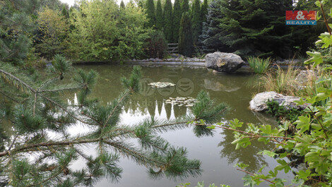881/foto12_11286069_ezh2c.jpg