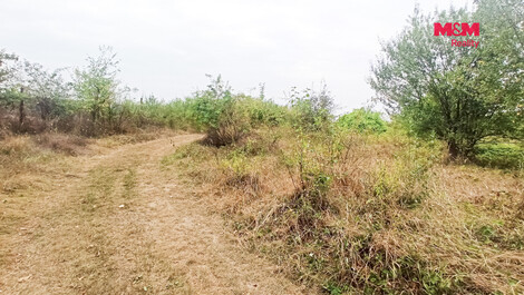 883/foto12_11530418_4xa3k.jpg