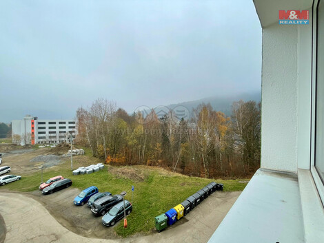 890/foto12_11330107_lr9lw.jpg