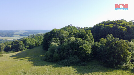 890/foto12_11336243_bb4hc.jpg