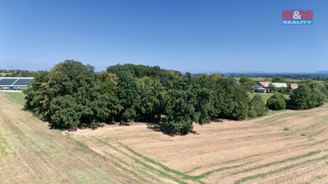 893/foto12_11287174_xn3ro.jpg