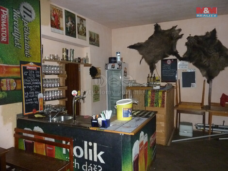 895/foto12_11347054_39jy0.jpg