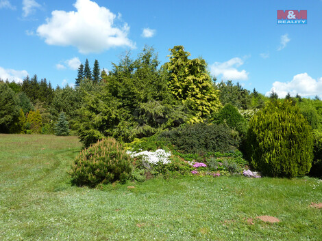 897/foto12_11347121_t6xes.jpg
