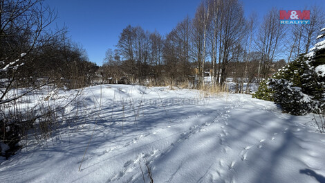 900/foto12_11258106_1jzqz4.jpg