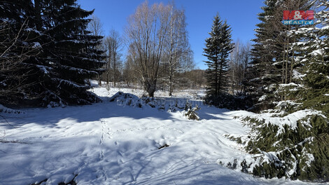 900/foto12_11258106_b1q7k.jpg
