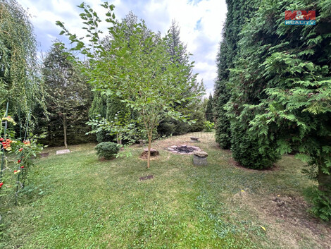 900/foto12_11258112_5s5lg.jpg