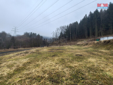 900/foto12_11345067_z3hq4.jpg