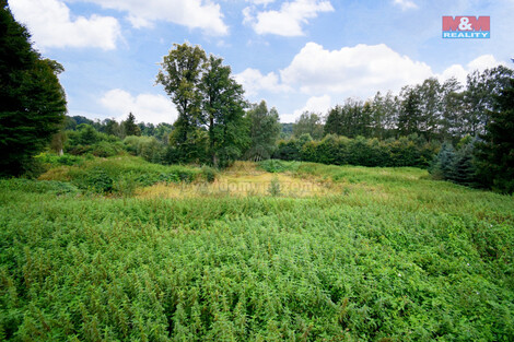 901/foto12_11258996_19mtqs.jpg
