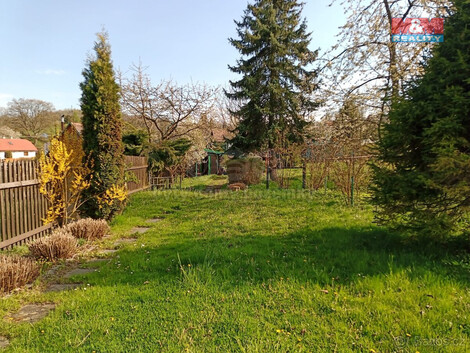901/foto12_11319103_1j7418.jpg