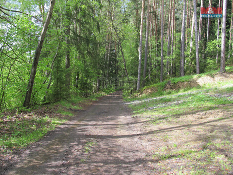 901/foto12_11382930_1ayuiw.jpg