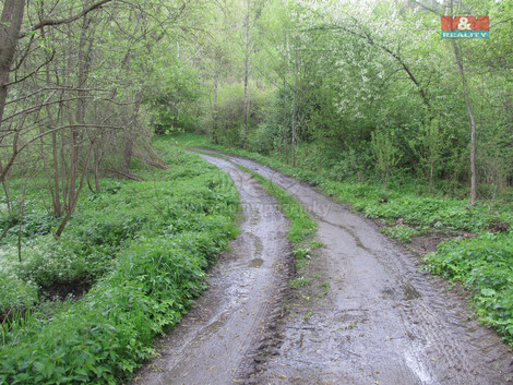 901/foto12_11382930_1kh2tg.jpg