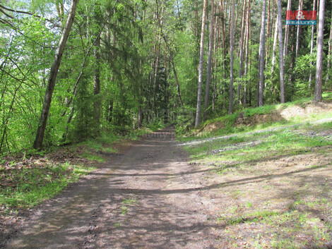 901/foto12_11382930_4afvk.jpg