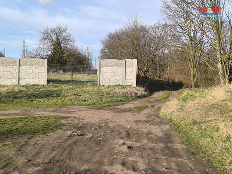 902/foto12_11285054_cfxdw.jpg