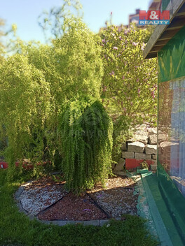 903/foto12_11348186_1mvq6o.jpg