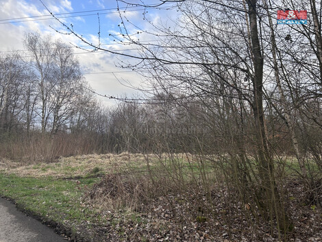 904/foto12_11283956_1d93hc.jpg