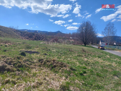 904/foto12_11290656_1e6qa8.jpg