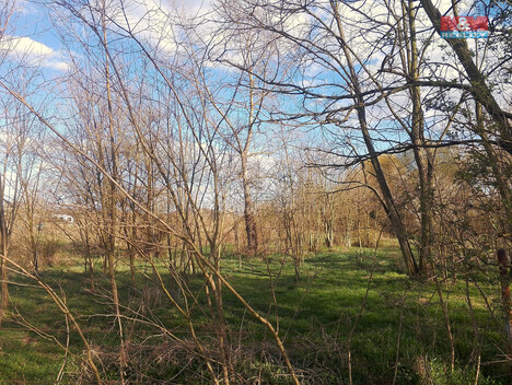 904/foto12_11297158_10b20g.jpg