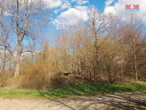 904/foto12_11297158_13dcug.jpg