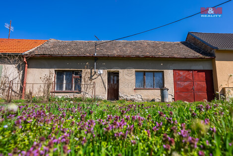 904/foto12_11319759_xkxrc.jpg