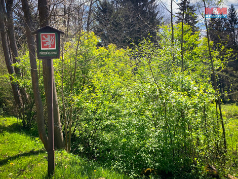 904/foto12_11371135_l2c.jpg