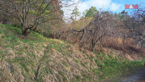 905/foto12_11291676_1kbn7s.jpg