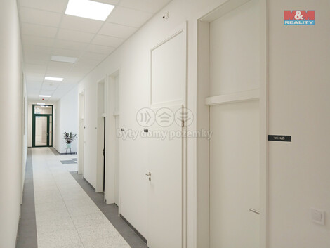 906/foto12_11308009_ll4xg.jpg