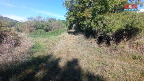 906/foto12_11308081_vdghs.jpg