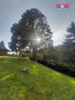 906/foto12_11364940_1gbsqs.jpg
