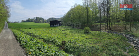 907/foto12_11316391_4dmb0.jpg