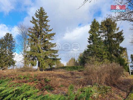 907/foto12_11351950_83dqk.jpg