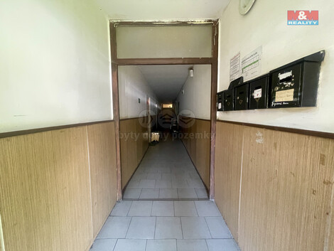 908/foto12_11322927_wqdzo.jpg