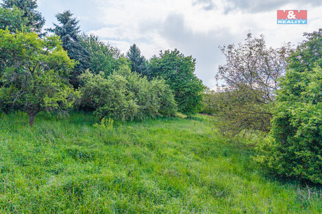 908/foto12_11327097_1l3kp0.jpg